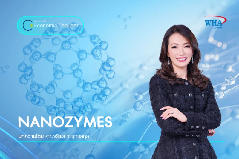NANOZYMES
