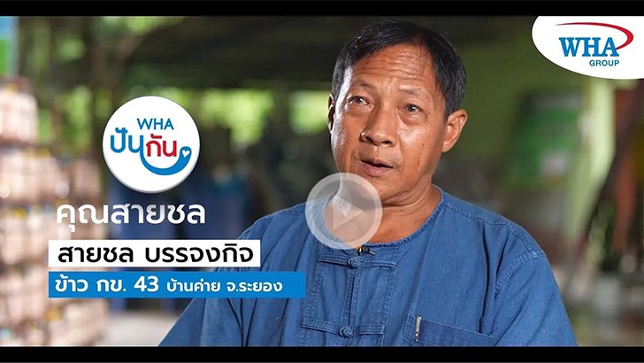 ข้าวอินทรีย์ กข.43 อิ่ม อร่อย น้ำตาลน้อย ของดีรอบๆ นิคมอุตสาหกรรมของเรา ภายใต้โครงการ WHA ปันกัน
