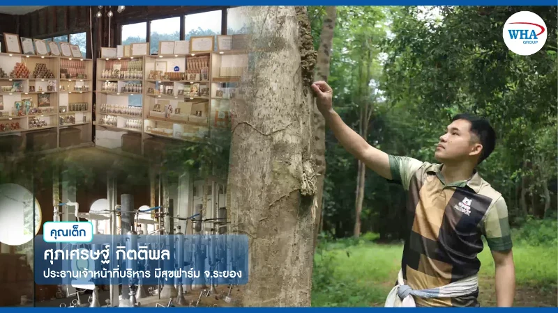 WHA Group แนะนำของดีรอบ ๆ นิคมอุตสาหกรรมของเรา - มีสุขฟาร์ม