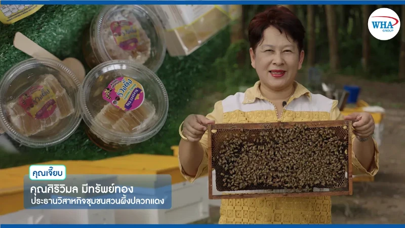 WHA Group แนะนำของดีรอบ ๆ นิคมอุตสาหกรรมของเรา - ร้านสวนผึ้งปลวกแดง